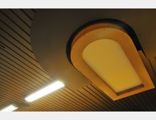 Deckenansicht mit einem hölzernen Deckenelement in geschwungener Form und einer rechteckigen Leuchte mit diffuser Abdeckung, umgeben von dunklen, parallelen Lamellen.