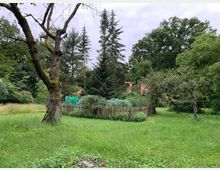 Grüne Gartenlandschaft mit einem alten Baum im Vordergrund, umgeben von Wiesen und Bäumen. Im Hintergrund sind ein Gemüsegarten mit einem Holzzaun sowie ein rotes Backsteingebäude sichtbar.