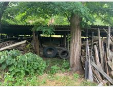 Holzunterstand in ländlicher Umgebung mit einem Wellblechdach, umgeben von dichter Vegetation. Vor dem Unterstand liegen Holzstapel, alte Reifen und Bretter, ein großer Baum steht direkt davor.