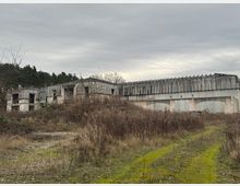 Verlassenes Industriegebäude mit verwitterten Fassaden und teils eingestürztem Dach, umgeben von wilder Vegetation und einer mit Moos bedeckten Spur, im Hintergrund Wald und ein bewölkter Himmel.