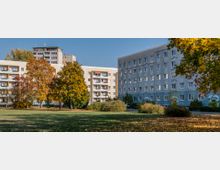Wohnanlage mit mehreren Mehrfamilienhäusern in einem urbanen Umfeld, umgeben von Rasenflächen, Büschen und Bäumen in herbstlicher Färbung. Im Hintergrund befinden sich höhere Gebäude, die den Stadthintergrund ergänzen.