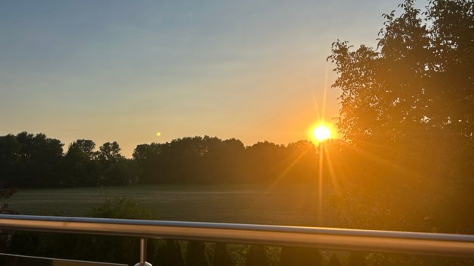 Blick von einem Balkon mit Glas- und Metallgeländer über eine weitläufige Wiese mit Baumreihe am Horizont. Die tief stehende Sonne geht neben einem großen Baum auf und erzeugt warmes Gegenlicht im klaren Himmel.