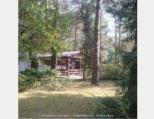 Ferienhütte in einem lichten Wald mit Nadel- und Laubbäumen, umgeben von dichtem Grün und sonnendurchflutetem Boden. Im Hintergrund ist eine kleine Holzveranda mit Geländer zu sehen.