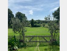 Ein grüner Garten mit Holzzaun und Tor im Vordergrund, flankiert von zwei Olivenbäumen. Im Hintergrund ein weitläufiger Rasen, umgeben von Bäumen und Büschen unter einem blauen Himmel.