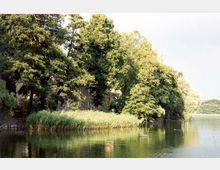 Uferlandschaft mit dichtem Baumbestand, Schilfbewuchs und einem Gebäude im Hintergrund, das teilweise von den Bäumen verdeckt wird. Der ruhige See reflektiert die Umgebung, und das Setting wirkt naturbelassen.