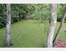 Garten mit einer großen, gepflegten Rasenfläche, umgeben von Bäumen und Sträuchern. Im Vordergrund sind zwei Birkenstämme zu sehen, und ein gelber Gartenschlauch liegt über den Rasen gespannt.