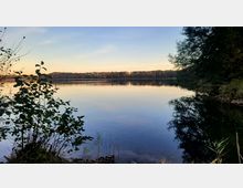Ein ruhiger See mit glatter Wasseroberfläche, umgeben von Bäumen am Ufer und einem Wald im Hintergrund; im Vordergrund sind Sträucher und Gras zu sehen. Der klare Himmel spiegelt sich leicht im Wasser.