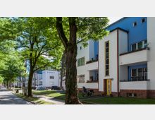 Straßenszene mit modernen Wohngebäuden im Bauhaus-Stil, gekennzeichnet durch klare Linien, Flachdächer und helle Fassaden in Blau und Weiß mit roten Backsteinsockeln. Im Vordergrund große Bäume, ein Gehweg und parkende Fahrräder, die eine grüne, ruhige Umgebung schaffen.