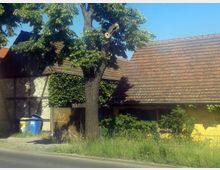 Straßenansicht eines älteren Hauses mit gelber Fassade und schrägem Ziegeldach, umgeben von grünem Bewuchs und einem großen Baum. Im Vordergrund steht ein Zaun mit Mülltonnen dahinter, und die Szene wird von einer gepflasterten Straße begrenzt.