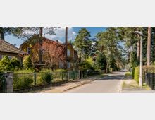 Ruhige Wohnstraße mit Einfamilienhäusern, umgeben von großen Bäumen und gepflegten Gärten. Die Straße ist gepflastert, mit vereinzelten Laternen, Zäunen und Hecken entlang der Grundstücke.