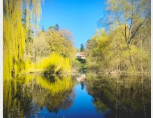 Ein kleiner See mit klarem Wasser, umgeben von grünen Weiden und anderen Bäumen, deren Äste sich im Wasser spiegeln; im Hintergrund ein helles Haus mit rotem Dach auf einer Anhöhe unter blauem Himmel.