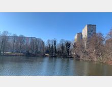 Ein See in einer urbanen Umgebung, umgeben von winterlich kahlen Bäumen. Im Hintergrund stehen mehrstöckige Wohngebäude, darunter mehrere Plattenbauten, vor einem klaren, blauen Himmel.