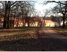 Ein Park mit kahlen Bäumen im Winter, durch den ein gepflasterter Weg führt, im Hintergrund sind gelbe und orangefarbene Gebäude mit roten Dächern sichtbar.