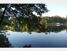 Seeufer mit Blick auf einen ruhigen See, umgeben von dichtem Wald, dessen Bäume sich im Wasser spiegeln. Im Hintergrund ist ein Steg mit Booten und einem kleinen Gebäude zu sehen.