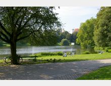 Parklandschaft mit einem See im Hintergrund, umgeben von Bäumen und Wiese. Im Vordergrund steht eine Bank neben einem Fahrrad unter einem Baum, während mehrere Enten auf der Wiese laufen; im Hintergrund sind vereinzelt Menschen zu sehen.