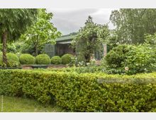 Üppiger Garten mit geschnittenen Hecken, Kugelbuchsbüschen und blühenden Rosen, im Hintergrund eine teils von Pflanzen bewachsene Backsteinstruktur mit großen, bogenförmigen Fenstern. Der Himmel ist grau und bedeckt.