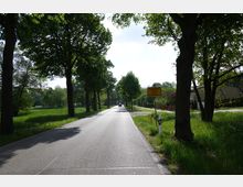 Eine Landstraße, gesäumt von hohen Bäumen, führt durch eine ländliche Gegend mit Wiesen und vereinzelten Häusern. Rechts im Bild steht ein gelbes Ortsschild mit der Ortsbezeichnung „Sputendorf“.