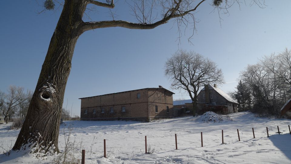 Verschneiter ländlicher Hof mit einem großen kahlen Baum im Vordergrund und zwei Gebäuden: einem langgestreckten Backsteinbau und einem älteren Haus mit steilem Dach. Im Vordergrund verläuft eine Reihe niedriger Zaunpfosten über die Schneefläche, im Hintergrund stehen weitere laublose Bäume unter klarem Himmel.