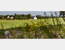 Weite grüne Wiesenlandschaft mit einem kleinen weißen Haus und einigen weiteren Gebäuden am Horizont, umgeben von Bäumen und Sträuchern unter einem klaren Himmel. Im Vordergrund sind unscharfe Gras- und Pflanzenstrukturen zu sehen.