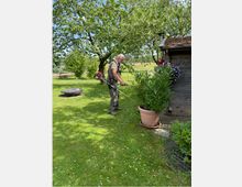 Ein Mann arbeitet mit einem Freischneider im Garten, umgeben von Rasen, Bäumen und einem Holzschuppen. Im Vordergrund steht ein großer Blumentopf mit grünem Busch, und der Hintergrund zeigt eine ländliche Umgebung.