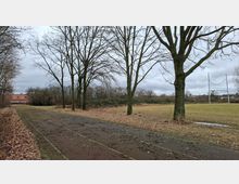 Asphaltierter Weg entlang einer offenen Wiese mit kahlen Bäumen und Laub am Boden. Rechts steht ein hohes Sportnetz, im Hintergrund sind Büsche und ein Gebäude mit rotem Dach unter grauem Himmel zu sehen.