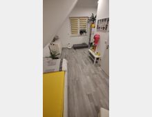 Ein helles Schlafzimmer mit grauem Laminatboden, einem Bett mit gelber Bettdecke links und einer kleinen Sitzbank vor einem Fenster mit gelb-weißen Jalousien. Rechts im Raum stehen ein Regal mit Pflanzen und eine Kommode; Fotos und Dekorationen hängen an den Wänden.