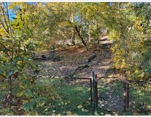 Holztreppe und Naturweg in einem herbstlichen Wald, umgeben von dichtem Laub in Gelb- und Grüntönen, mit einem kleinen Metallzaun im Vordergrund.