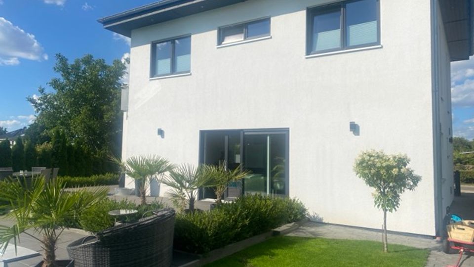Zweistöckiges, modernes Wohnhaus mit weißer Fassade und großen Fenstern, gesehen vom Garten mit Rasenfläche. Im Vordergrund stehen eine Terrasse mit dunklen Loungemöbeln sowie Beete mit Ziergräsern und kleinen Palmen.