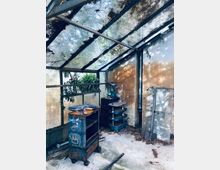 Innenraum eines alten, verfallenen Gewächshauses mit einem Glasdach, das teilweise mit Moos und Schmutz bedeckt ist. Im Raum stehen verrostete Metallregale, eine Werkbank und alte Gegenstände, umgeben von verwitterten Wänden und einigen Pflanzen im Hintergrund.