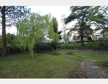 Grüne Gartenlandschaft mit Rasen, Bäumen und umliegenden Büschen, darunter eine hängende Birke. Im Hintergrund sind Wohnhäuser und ein kleiner Weg sichtbar.