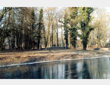 Ein winterlicher Park mit kahlen, teilweise von Efeu bewachsenen Bäumen; im Vordergrund ein zugefrorener Teich mit dünner Eisschicht und im Hintergrund zwei Personen, die einen Weg entlanggehen.