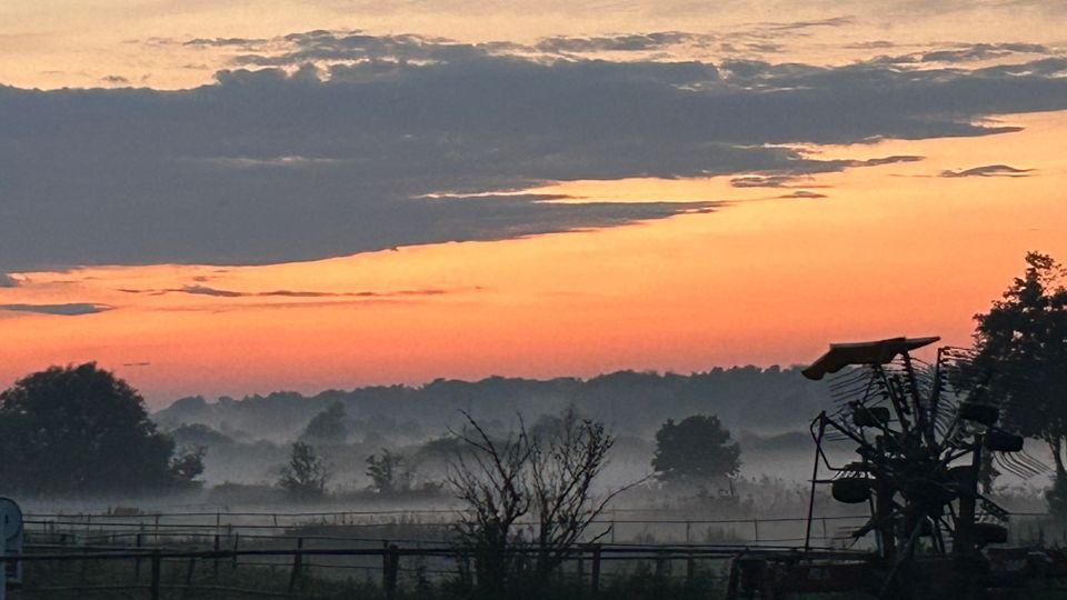 Weite ländliche Landschaft mit eingezäunten Wiesen und Baumgruppen, die in bodennahem Nebel liegen. Am rechten Bildrand steht die Silhouette einer landwirtschaftlichen Maschine vor einem orangefarbenen Himmel mit dunklen Wolken.