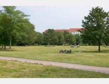 Weitläufiger Stadtpark mit einer Grünfläche, einzelnen Bäumen und einem gepflasterten Spazierweg im Vordergrund; im Hintergrund sind Wohngebäude mit roten Dächern zu sehen. Einige Bänke und Besucher befinden sich im Park.