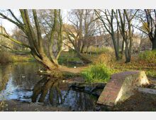 Kleiner Teich in einem Park mit herbstlicher Vegetation, umgeben von kahlen Bäumen und einem alten Backsteinbrückchen. Im Hintergrund sind Gebäude mit hellen, historischen Fassaden sichtbar.
