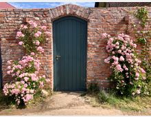 Backsteinmauer mit einem geschwungenen Holztor in Dunkelgrün, eingerahmt von zwei blühenden Kletterrosensträuchern mit rosa Blüten. Im Vordergrund ein gepflasterter Weg und Wildpflanzen entlang der Mauer.