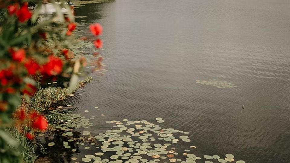 Blick über einen ruhigen See mit Seerosen am Ufer; im Vordergrund liegt ein kleines Ruderboot an einem einfachen Holzsteg. Am gegenüberliegenden Ufer verläuft eine dichte Baumlinie unter bewölktem Himmel, links rahmen unscharfe rote Blüten das Bild.