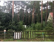Waldgrundstück mit hohen Kiefern und dichtem Grünbewuchs, umgeben von einem Holzzaun. Im Hintergrund ist ein kleines weißes Gebäude und ein Teil eines Hauses mit rotem Dach sichtbar.