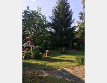 Ein Garten mit Rasenfläche, umgeben von Bäumen, darunter eine große Tanne. Im Vordergrund ein kleiner Gartenschrank mit Pflanzen, daneben eine rote Gaskanne mit Blumen. Rechts stehen eine Gartenbank und weitere Pflanzen. Ein Steinweg führt durch den Garten.