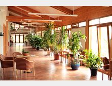 Heller Innenraum eines Gebäudes mit einem langen, mit Terrakottafliesen ausgelegten Flur, großen Fenstern mit Holzrahmen auf der rechten Seite und zahlreichen Topfpflanzen. Links im Bild stehen Tische und Stühle mit gepolsterten Sitzflächen.