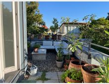 Dachterrasse mit einer Sitzecke bestehend aus weißen Polstermöbeln und einem kleinen Steintisch, umgeben von zahlreichen Blumentöpfen mit grünen Pflanzen. Im Hintergrund sind moderne Gebäude und Bäume bei klarem Himmel zu sehen.