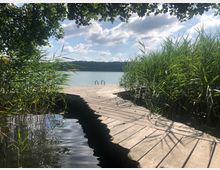 Holzsteg, der durch Schilf zu einem See führt, mit klarem Wasser und einer Leiter am Ende; umgeben von grüner Vegetation und überhängenden Ästen, unter einem leicht bewölkten Himmel.