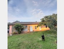 Einstöckiges Haus mit hellorangefarbener Fassade, weißen Türen und Fenstern. Im Vordergrund befindet sich eine Rasenfläche, ein Baum und ein schwarzer Hund.