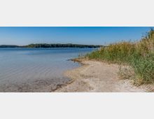 Ufer eines Sees mit klarem, flachem Wasser, sandigem Strandbereich und dichtem Schilf am rechten Bildrand; im Hintergrund ist eine bewaldete Uferlinie zu sehen unter einem klaren blauen Himmel.