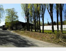 Straße mit hohen Bäumen, die links neben der Fahrbahn stehen, und einem Industriegebäude im Hintergrund. Auf der rechten Seite befindet sich eine Reihe weißer Lager- oder Containerbauten.