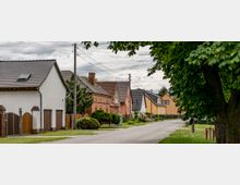 Straße in einem Wohngebiet mit Reihenhäusern in verschiedenen Farben, darunter weiß, rot und gelb, und Gärten mit Bäumen und Sträuchern. Im Vordergrund steht ein großer Baum, und Strommasten mit Kabeln führen entlang der Straße.
