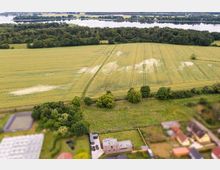 Luftaufnahme einer ländlichen Umgebung mit einem großen Getreidefeld, gesäumt von einer Baumreihe. Im Vordergrund befinden sich ein modernes Flachdachhaus mit umzäuntem Garten, weitere Wohnhäuser und ein kleiner Teich. Im Hintergrund ist ein Fluss mit umliegenden Waldflächen sichtbar.