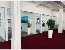 Offene Bürofläche mit großen verglasten Besprechungsräumen, einer weinroten Teppichfläche und mehreren weißen Pflanzgefäßen mit grünen Zimmerpflanzen. Sichtbare Deckenkonstruktion mit freiliegenden Kabelkanälen und weiß gestrichenen Wänden.