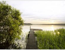 Holzsteg an einem ruhigen See, umgeben von Schilf und einem Baum auf der linken Seite, mit einer tief stehenden Sonne, die das Wasser golden reflektiert. Im Hintergrund sind eine bewaldete Uferlinie und ein heller Himmel zu sehen.