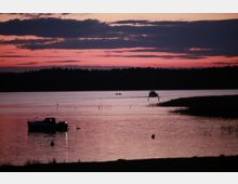 Ein See bei Sonnenuntergang mit einem dunkelrosa und lilafarbenen Himmel, umgeben von einer Waldsilhouette. Im Vordergrund ist ein kleines Boot mit Menschen sowie ein Schwan auf dem stillen Wasser sichtbar, während ein weiteres Boot weiter entfernt fährt.