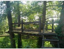 Holzplattform inmitten von Bäumen mit Geländer und Zugang über eine Holzleiter, auf der zwei gelbe Liegestühle stehen; von dichtem Laub umgeben und mit Blick auf eine grüne Wiese.